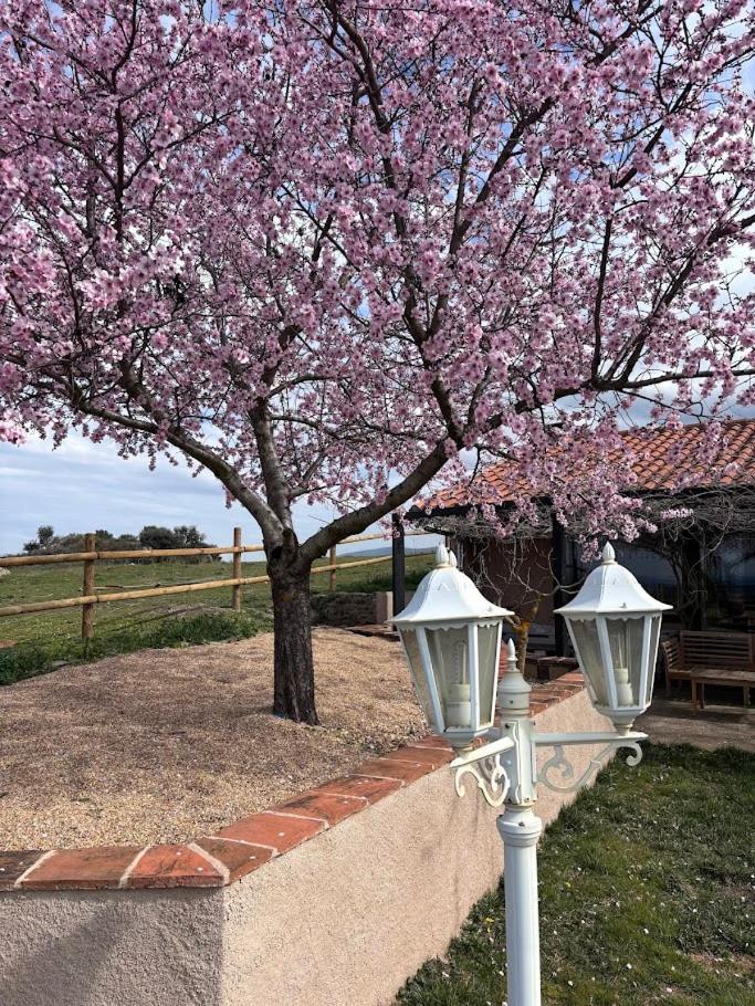 Casa Rural Explora, Pastores Dış mekan fotoğraf